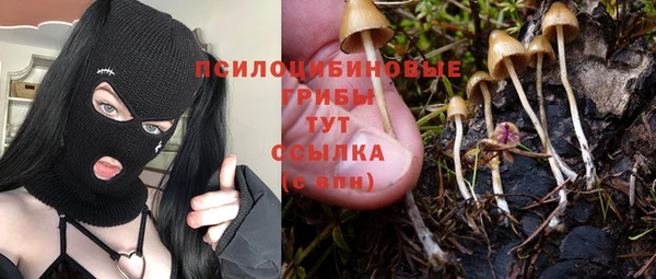 трава Абдулино